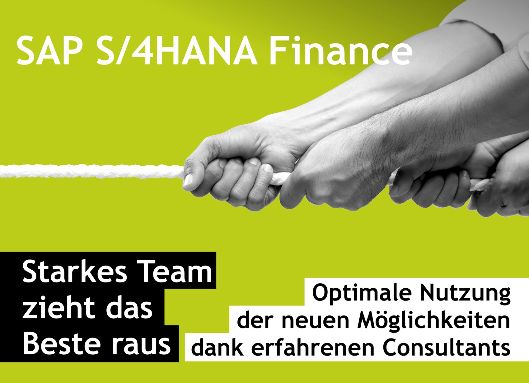 Starkes SAP S/4HANA FINANCE Team